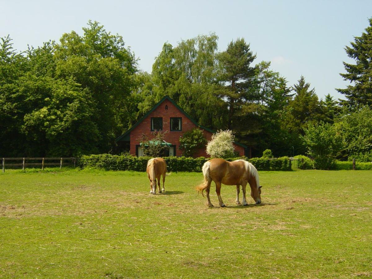 Bernard Meyborg Villa Lindern ภายนอก รูปภาพ